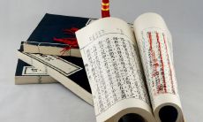 探究属木人五行属性相关行业和适合工作领域的研究