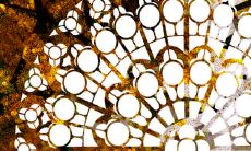 如何通过属牛和属虎的生辰八字来预测命运?比较属牛和属虎的八字,看看哪个更加有利?