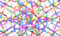 属猪男生和属虎女生的八字配对可行性及共同奋斗目标探讨