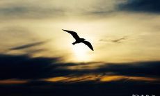 2023年2月20日和21日是否适合领取结婚证呢?