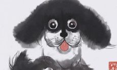 1991年属羊人应选用哪些物品来招财,如何通过房屋采光优化财位布局?