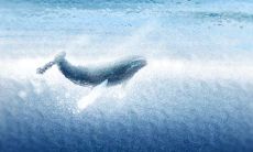 作为属猴男生,如何有效地经营爱情关系以获得长期稳定的幸福?