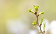 揭晓!上等日柱排行榜中最优秀的日柱是哪一个?