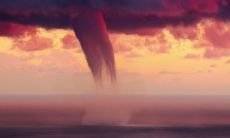 哪种颜色的水最有利运 得益于哪种水色的水最有助于繁荣生命?