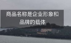 商品名称:如何将企业形象与品牌融合,打造独具特色、广受消费者青睐的商品名称?