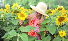 哪些血型属于事业心不太强的人士?