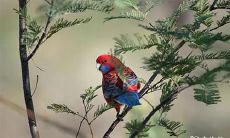 是否适合在2023年2月20日、21日进行相亲约会?