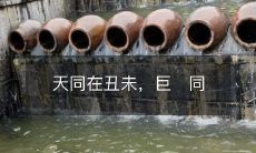 在申酉,二十四节气的意义与现代生活中的应用案例