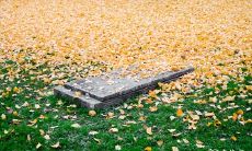 如何判断坟头草长得茂盛的墓地是否好?探讨几大征兆