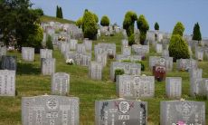 为什么在清明节可以前往祖先墓地修整坟墓,以及清明上坟时为何要插上柳枝?