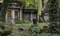 探究坟地三十六绝的秘密:详解墓地风水的全面解析