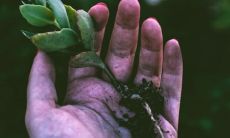 男性出轨者的手相线有哪些特征?一张详实图解揭露出轨行为的先兆!