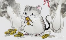 从属鼠生的兔宝宝的性格特征来看,这些兔宝宝会有哪些优劣势呢?