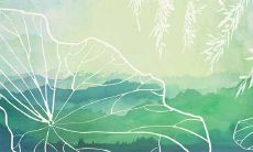 在办公室中,你应该避免放置哪些植物?哪些植物是不利于营造吉祥氛围的,必须谨慎摆放的?