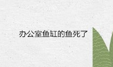 办公室鱼缸的鱼死亡:揭示风水预兆和传统信仰背后的含义与研究