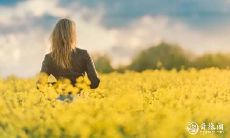 识破她们的心机!揭秘三大最具狡诈性格的生肖女,你不可不知!