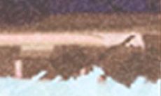 生肖马应如何应对恋人背叛并走出情感痛苦的症结