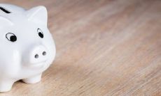 探寻71年属猪人的莫测桃花劫:猪年华丽ROMANCE缘,姻缘难料谁是选定之人?