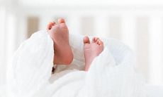 寻找2023年二月廿四日出生的五行缺火土属性的男孩或女孩的名字