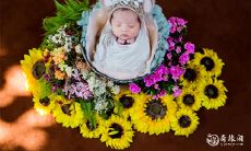 2023年3月7日出生的男孩/女孩,五行缺乏金、火和土元素的命名灵感