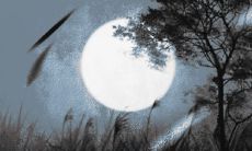 如何通过八字分析正财与偏财的运势:详细解读正财与偏财的八字含义与影响