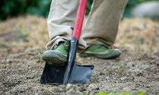 为什么新坟的迁移和动土行为受到长达三年的禁忌?