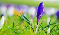 如何通过土法增添偏财运,让您成为最厉害的财富提升高手?