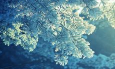 2023年闰二月生日应该如何庆祝?在生日当天,一般都会选择品尝什么美食呢?