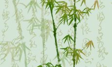 如何改善运势,从而翻转财运颓势,走向财运亨通?