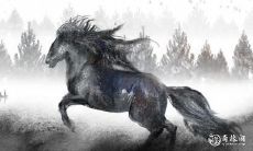 生肖马:十二生肖中最忙碌的动物,其性格特点是什么?