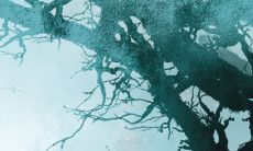 命局中同时出现正财和偏财,会对财运产生何种影响?