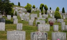 如何选择合适的墓地朝向,在风水讲究中有哪些要点需要注意?