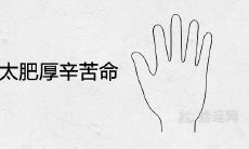 女性手掌肥厚会带来哪些辛苦命运?真相到底如何?