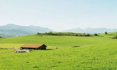 深入剖析易经六十四卦的顺序规律:详解六十四卦顺序规律