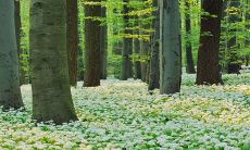 2024年以后,选择正南方位将成为九运中最具繁荣昌盛的理想坐向