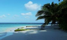 2024年属牛人将迎来吉星高照的火运旺盛之年,哪些人会受益?