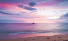 2030年风火家人卦:皇极经世的先兆和启示