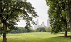 美国最大的公墓葬礼排队等待数月:评估公墓的风水是否会影响葬礼体验?