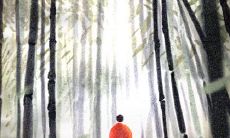 属鸡者在2014年五月的第一次运程:命运展现出的契机与挑战