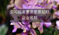 ——关于选择一个好的企业名称,对公司的重要性及影响的探讨