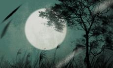 尽善尽美的改写: