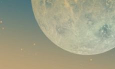 寻找同属虎的八字配对是否合适?结果可能让属虎的女性长期受压抑