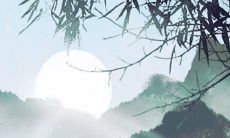 属虎女与属猪男的八字配对分析:探究两者感情共同追求与相容性