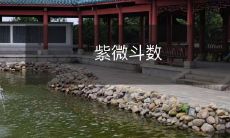 ——古代中国的占星学和预测艺术:探索星宿、宫位和天干地支的神秘世界