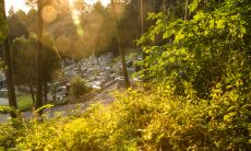 面相学发现:缺乏子女的女性,其印堂上存在明显的悬针纹痕迹!
