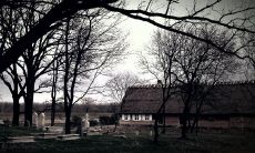 探索女性面相与性欲之间的联系:当奸门紧闭、鼓起非常、多情感显露时,女人性欲更加强烈?