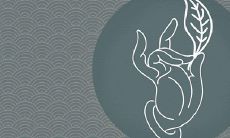 请问:对于女性而言,在第二次婚姻中的婚姻成功率其实与哪些因素相关,具体是哪条线呢?