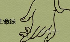线条与人生的相关性:探究事业线、爱情线和生命线这三条线条的意义和联系
