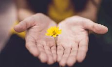 揭秘:揭秘嫁得好的手相!有这种手相的女孩,不仅能嫁贵夫,还能过上幸福富裕的生活!