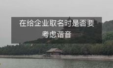 在为公司命名时是否应该考虑到同音词或谐音的影响因素?